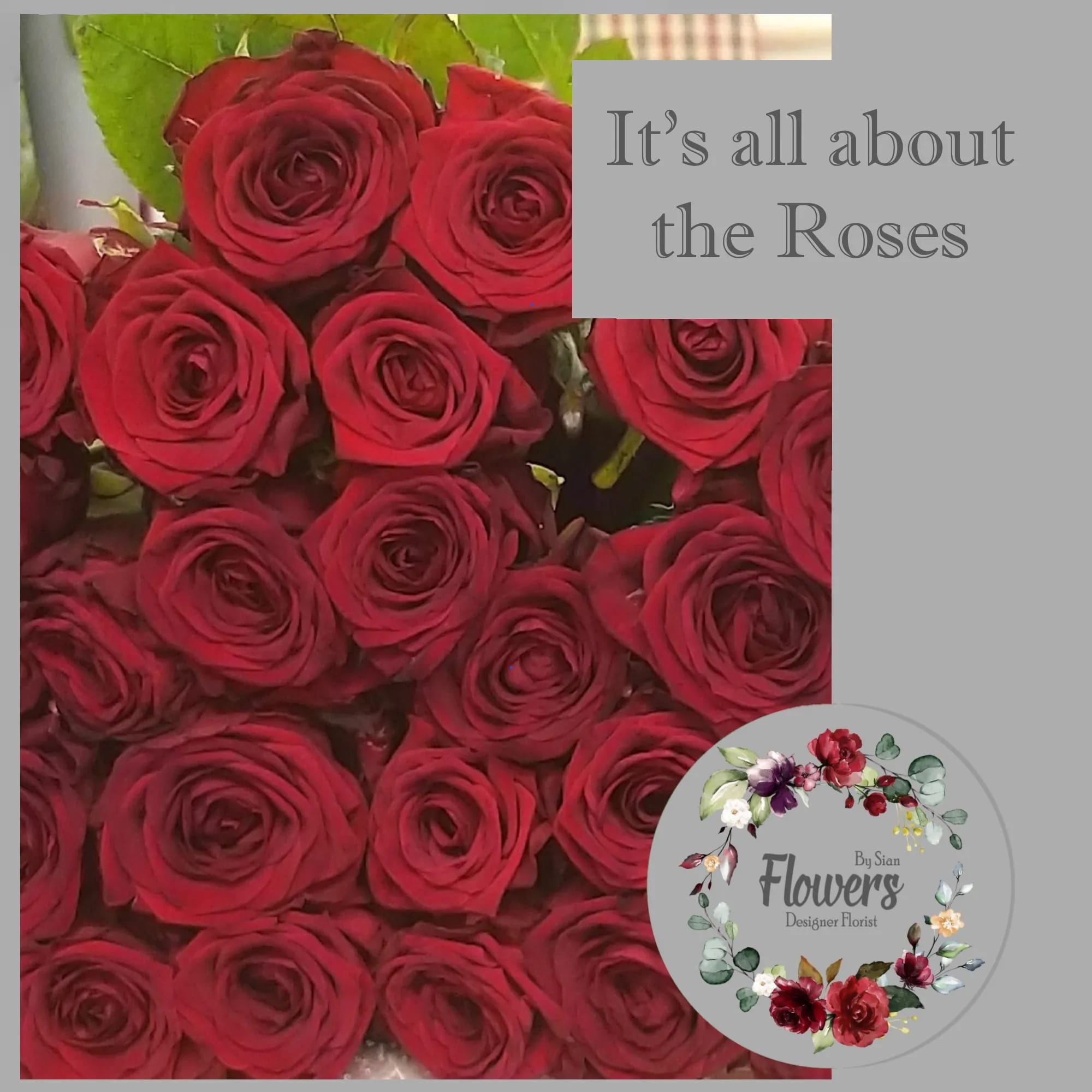Read more about the article It’s All About The Roses